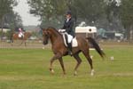 ZVS_7468