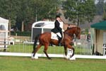DSC_2228 - kopie